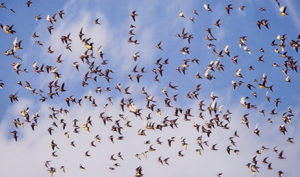 Todo mundo precisa de um jornalista por perto